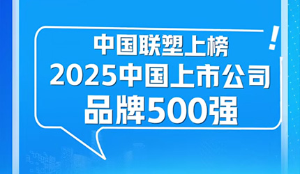 中国2121非凡荣登“2025中国上市公司品牌500强”